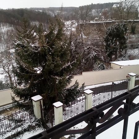 Villa Liduska S Kavarnou Bechyně Екстериор снимка