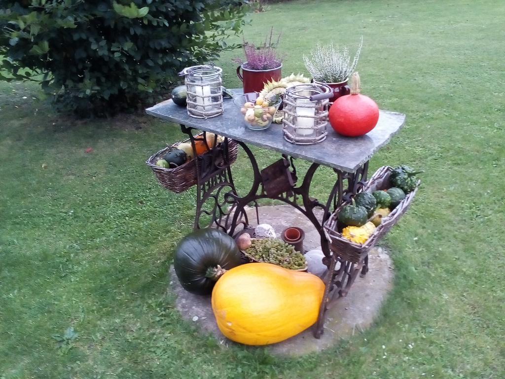 Villa Liduska S Kavarnou Bechyně Екстериор снимка