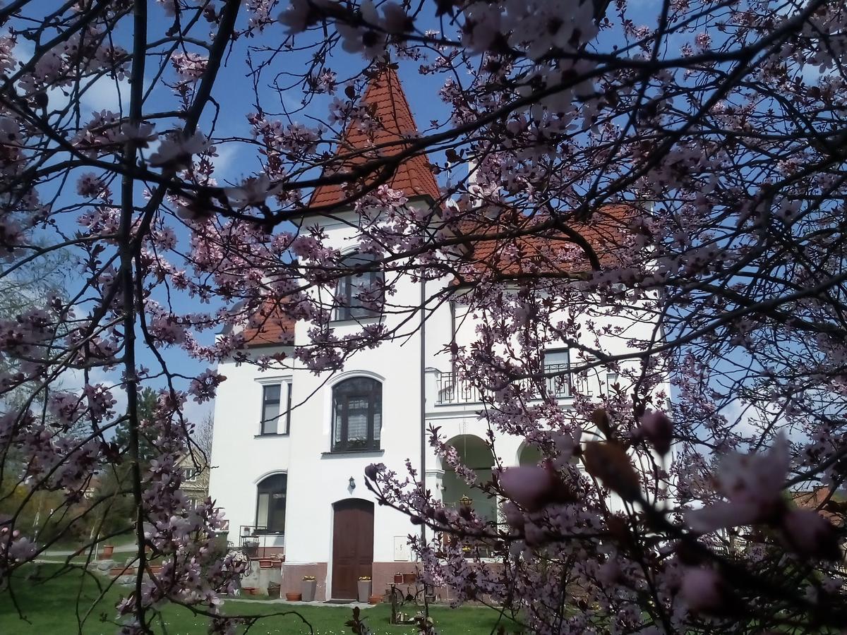 Villa Liduska S Kavarnou Bechyně Екстериор снимка