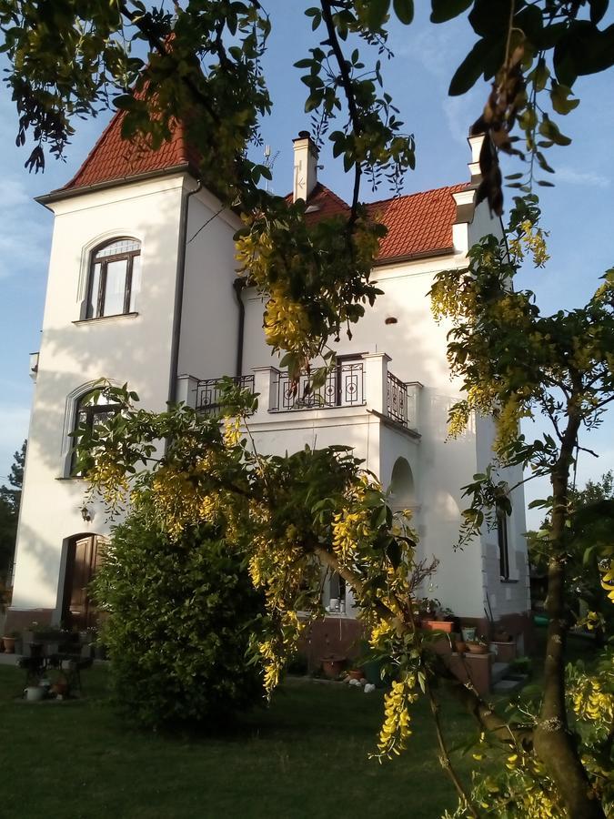 Villa Liduska S Kavarnou Bechyně Екстериор снимка
